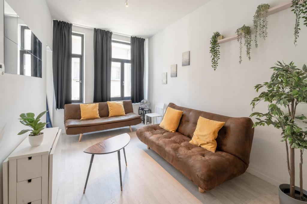 Beautiful Cozy Cityflats in the Centre of Antwerp