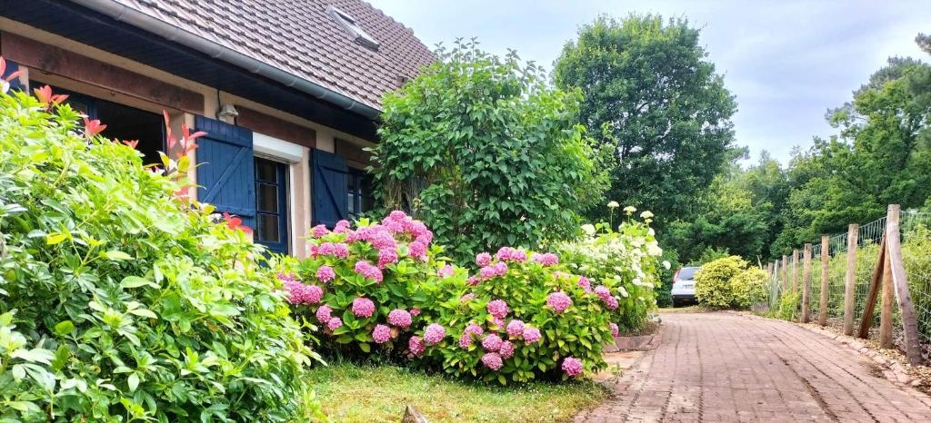 Beautiful villa touquettoise near the golf