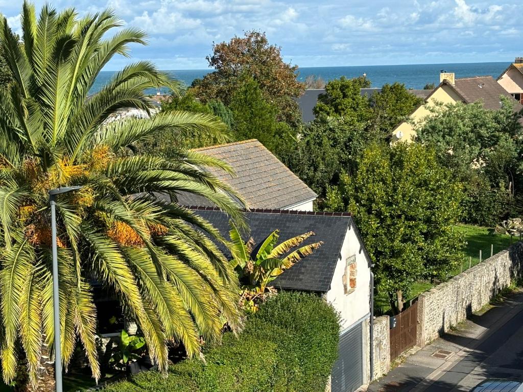 les dunes proche plage jardin