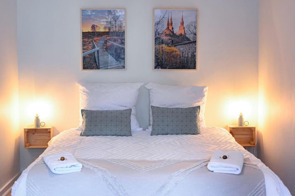 Belle 80 - beautiful renovated 1865 house