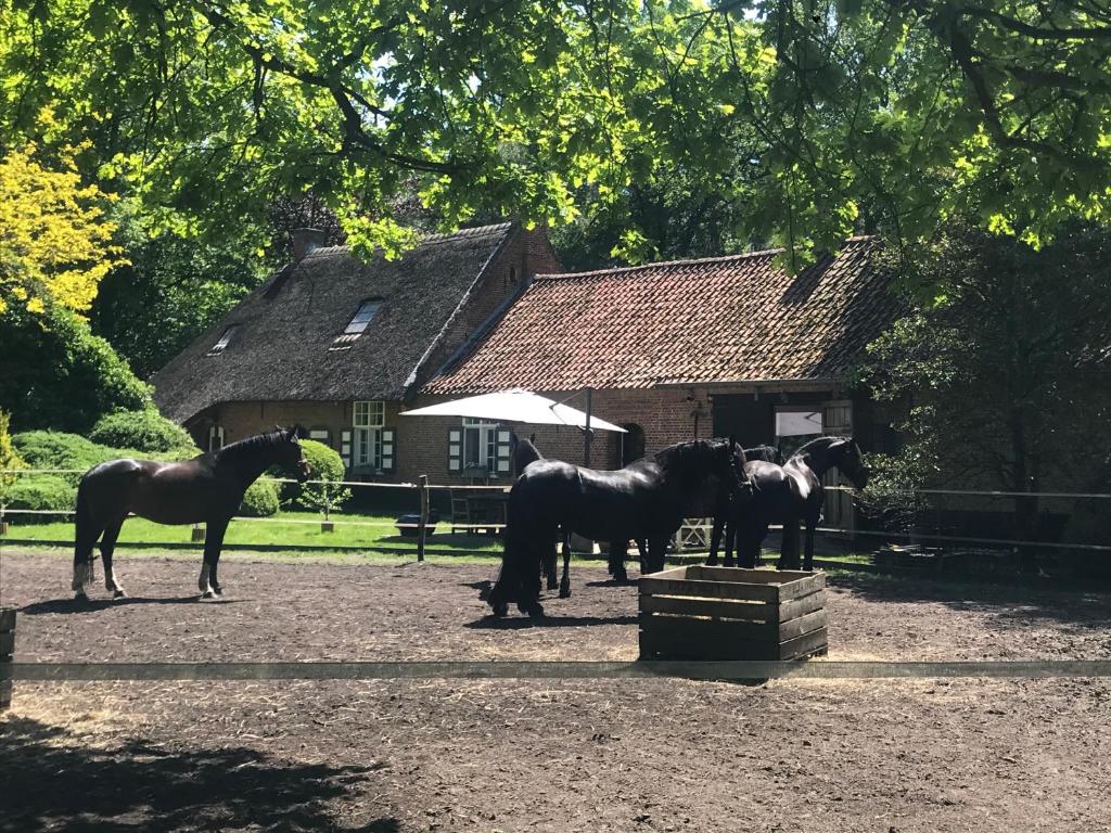 de Swaenhoeve