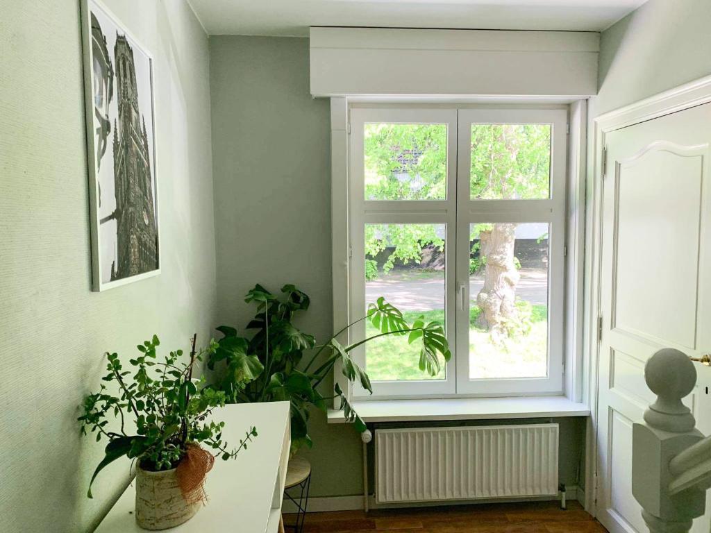 Viktor and stella suite by the minnewater