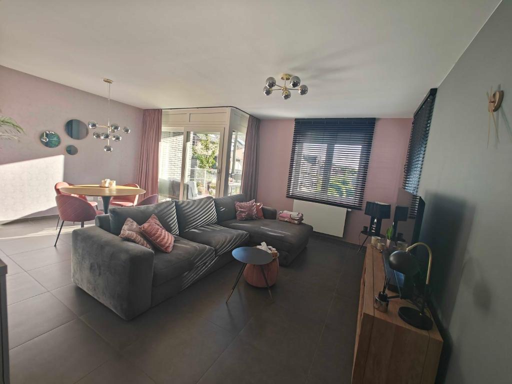 Casa Rosa Leuven