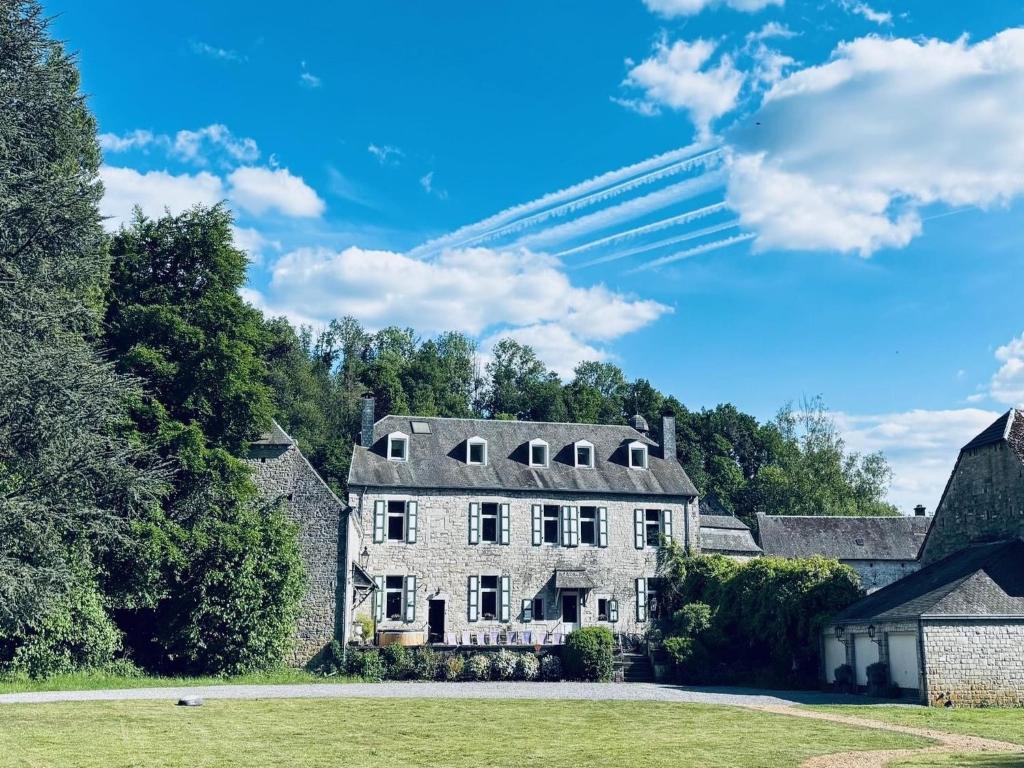 Castle in Ferrières with Pond Garden