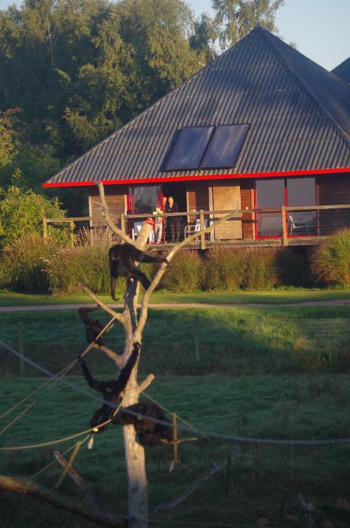 Cerza Safari Lodge