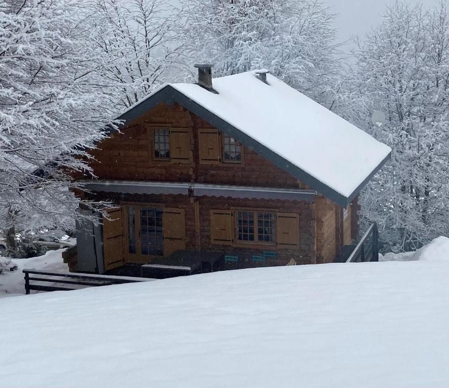 CHALET 6 PERSONNES SUR PISTE