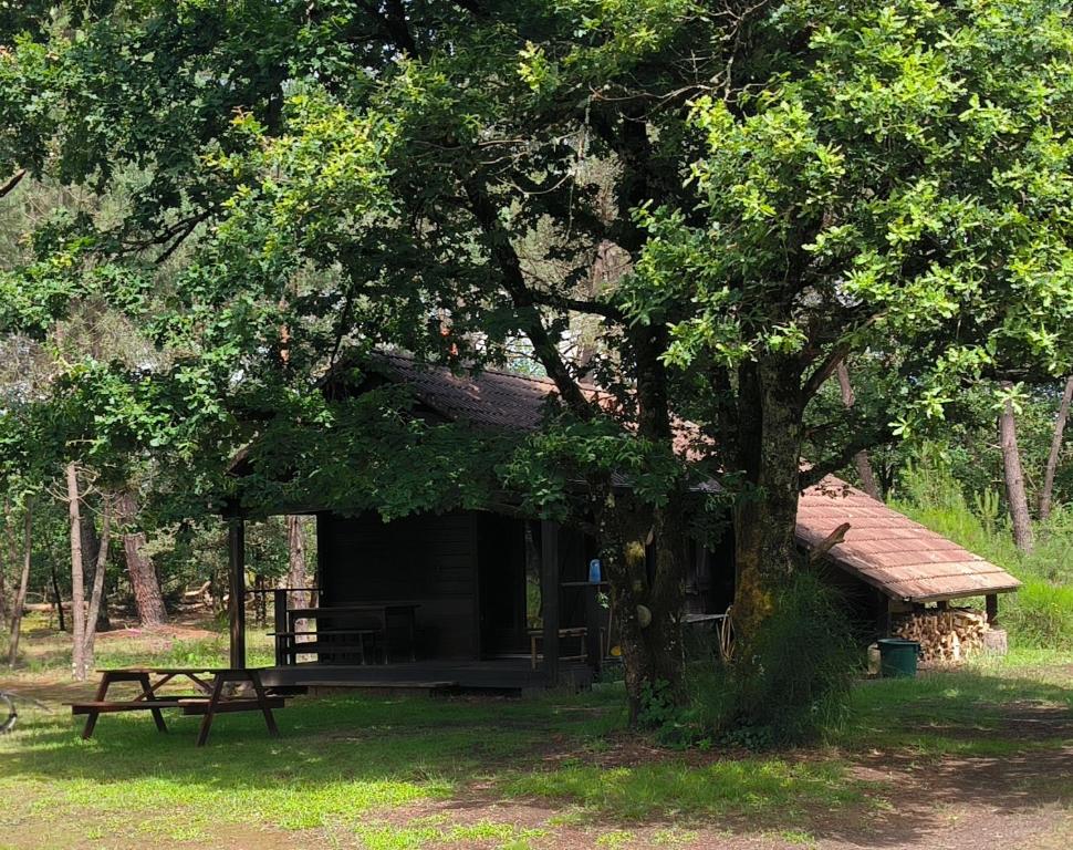 Chalet de l 'étang