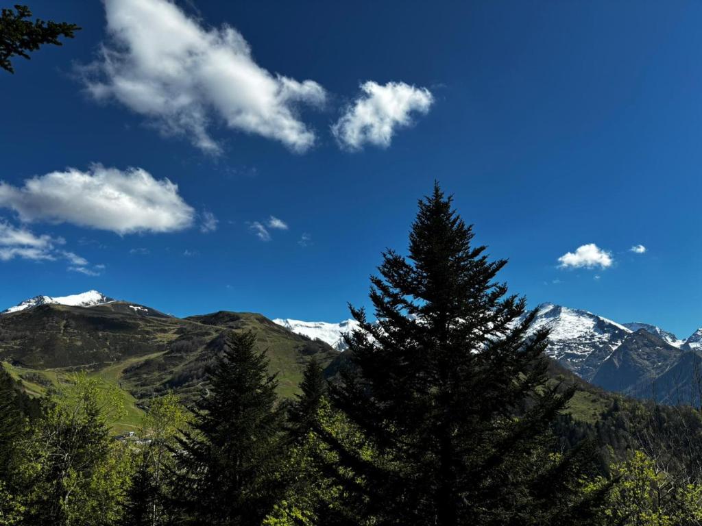 Chalet de montagne