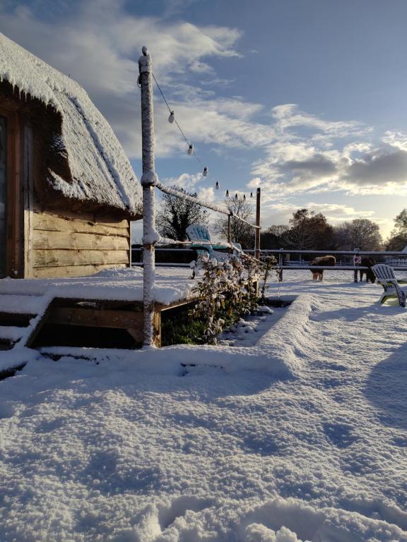 Chalet Miro