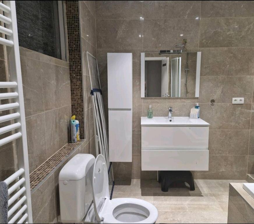 Bright and cozy room close to airport Grenier