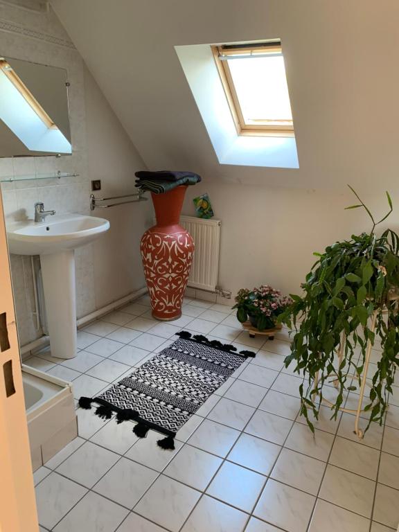 Chambres à louer
