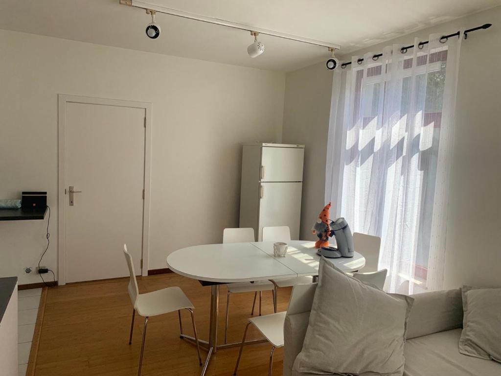 Charming Apartment in Brussels: Great Location for Renting