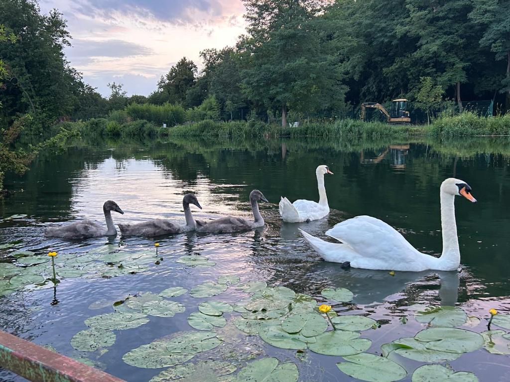 TRANQU'ILL sur les berges de l'Ill