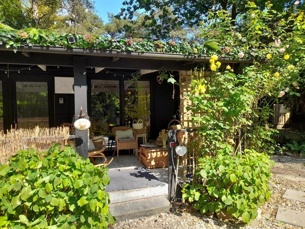 Oud-Turnhout Nature Chalet