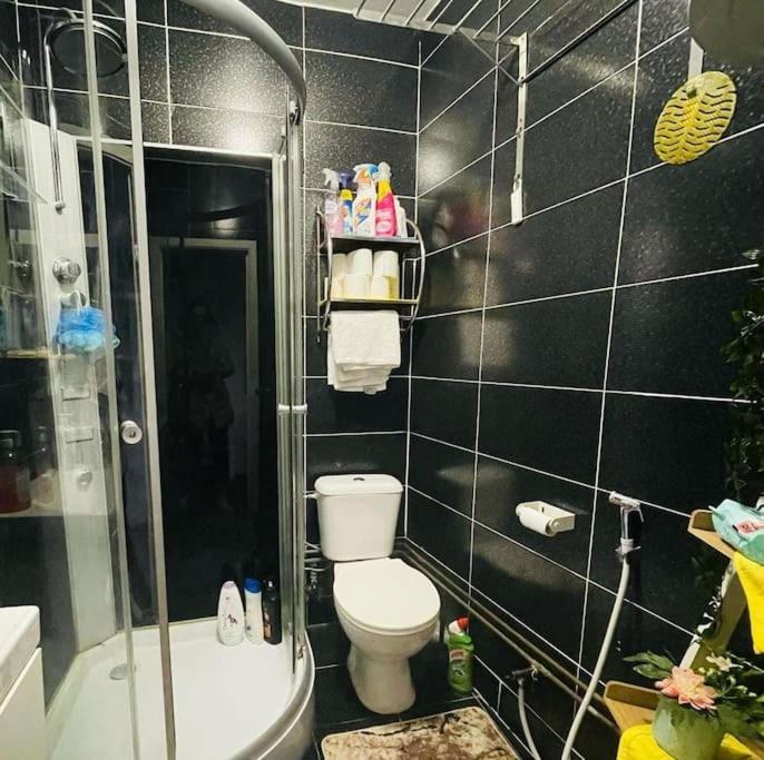 cute studio in brussel