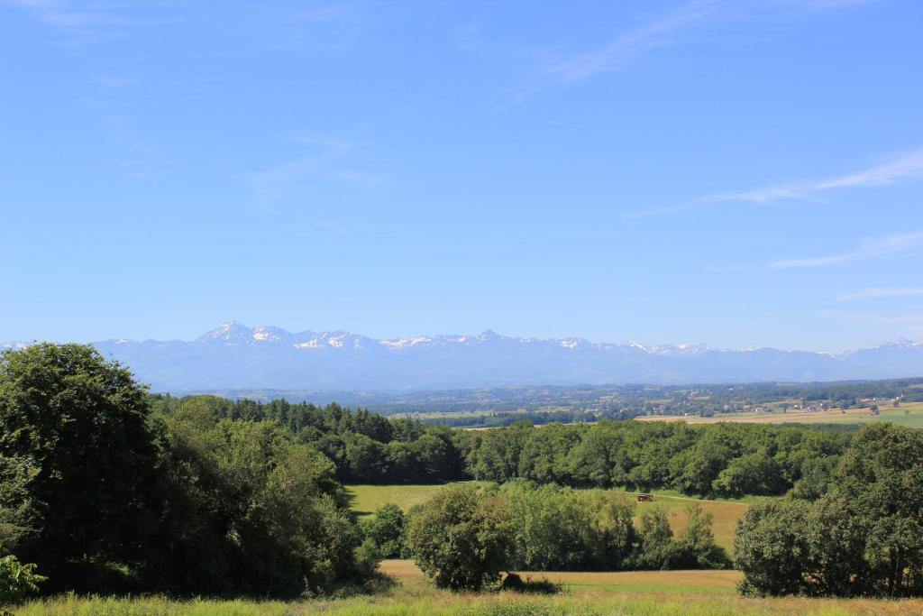 Hello Pyrenees