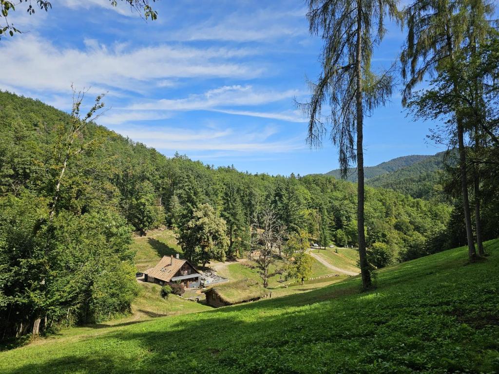Domaine du Petit Dorsbach