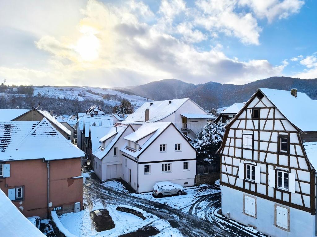 Duplex moderne à 10 minutes de Colmar