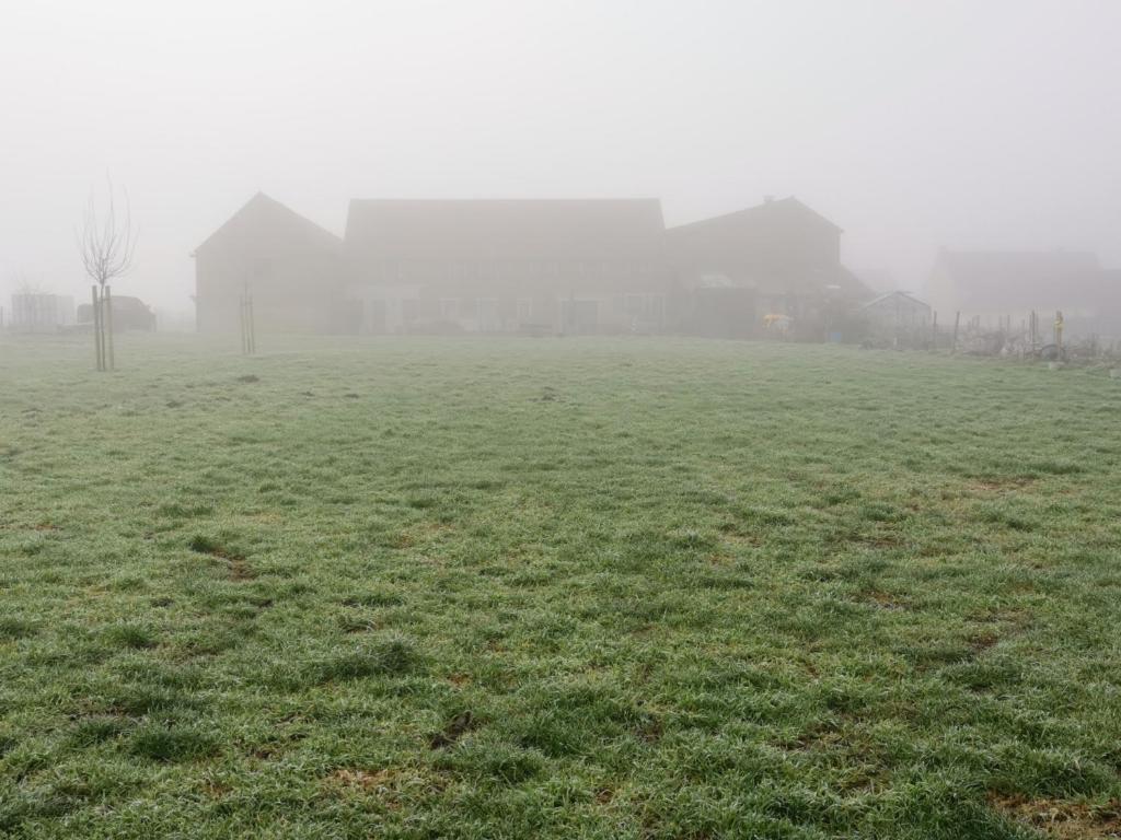 Elingenhof