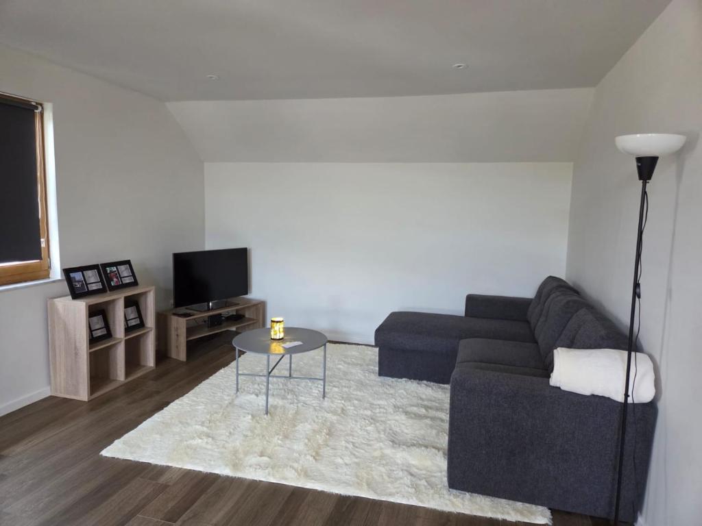 Entire fully equipped apartment