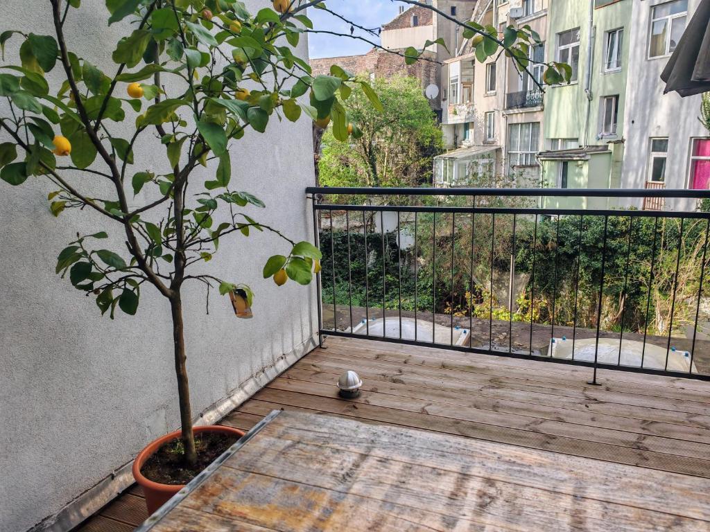 Entire modern studio with terrace - North Station