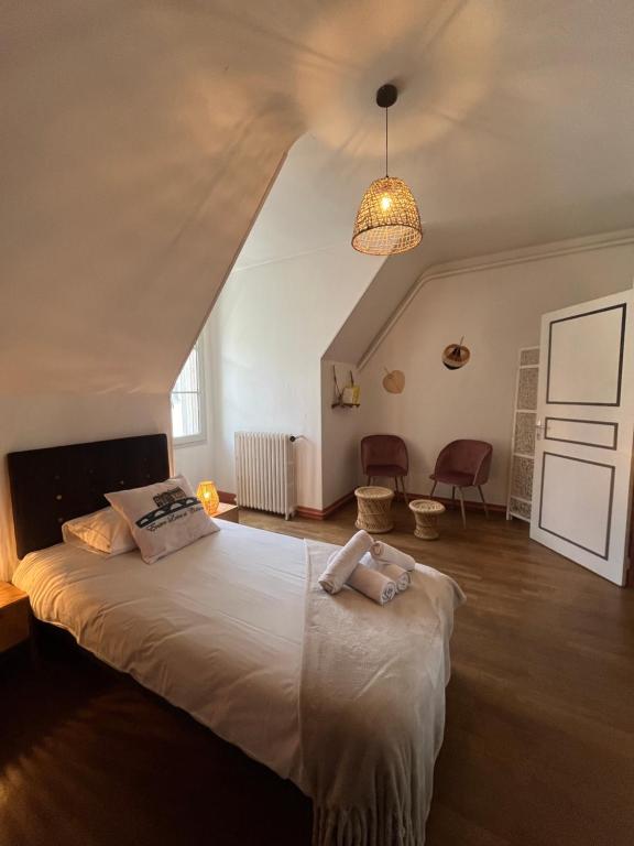 Entre Loire & Château - Vue exceptionnelle à Blois