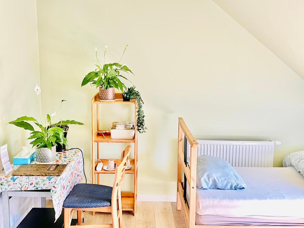 Family-friendly room in Kessel-lo, Leuven,Belgium