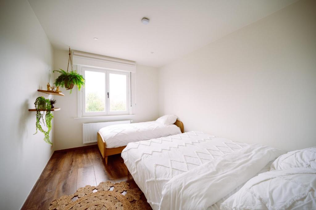 Beautiful house with HOTTUB near SEA and BRUGES