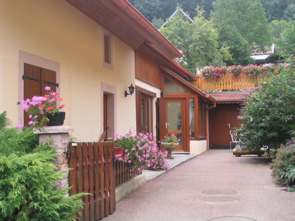 Gîte au calme avec 2 chambres, terrasse, jardin, BBQ et parking inclus à Breitenbach-Haut-Rhin - FR-1-744-42