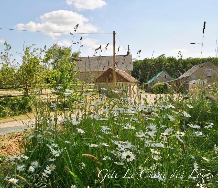 Gîte familial pour 6 pers en campagne