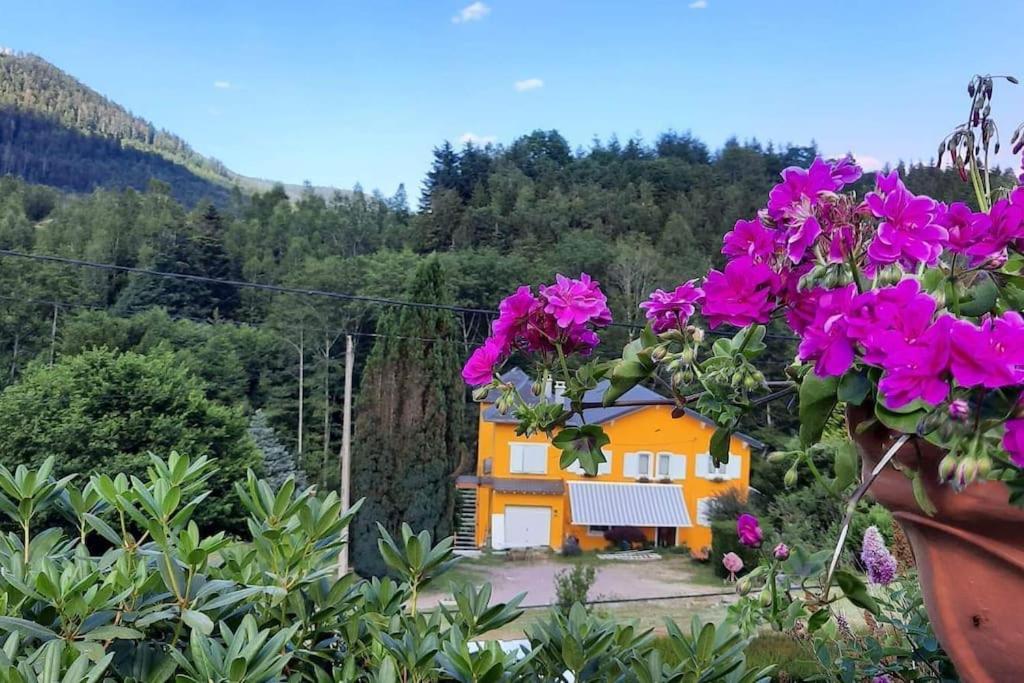 Gîte forestier du Moulin (10 pers)