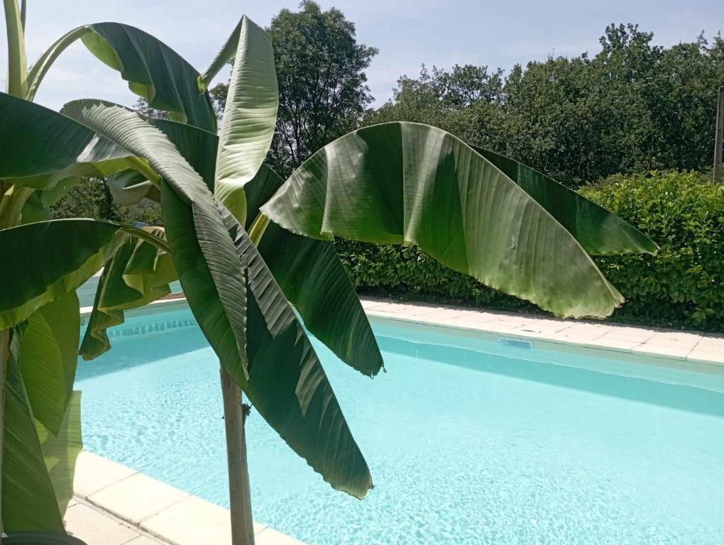 Gîtes Périgord Rocamadour Sarlat naturiste de mi mai à septembre