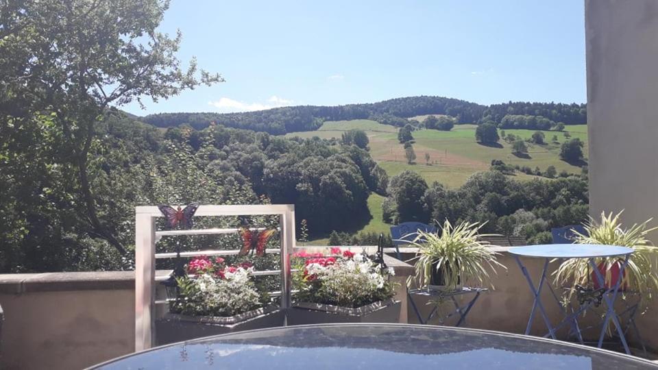Gite moderne proche de Kaysersberg av jacuzzi privé