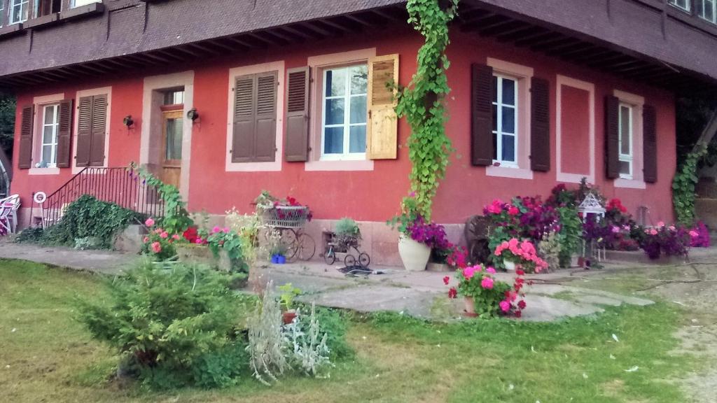 Gîte "Cadichon"