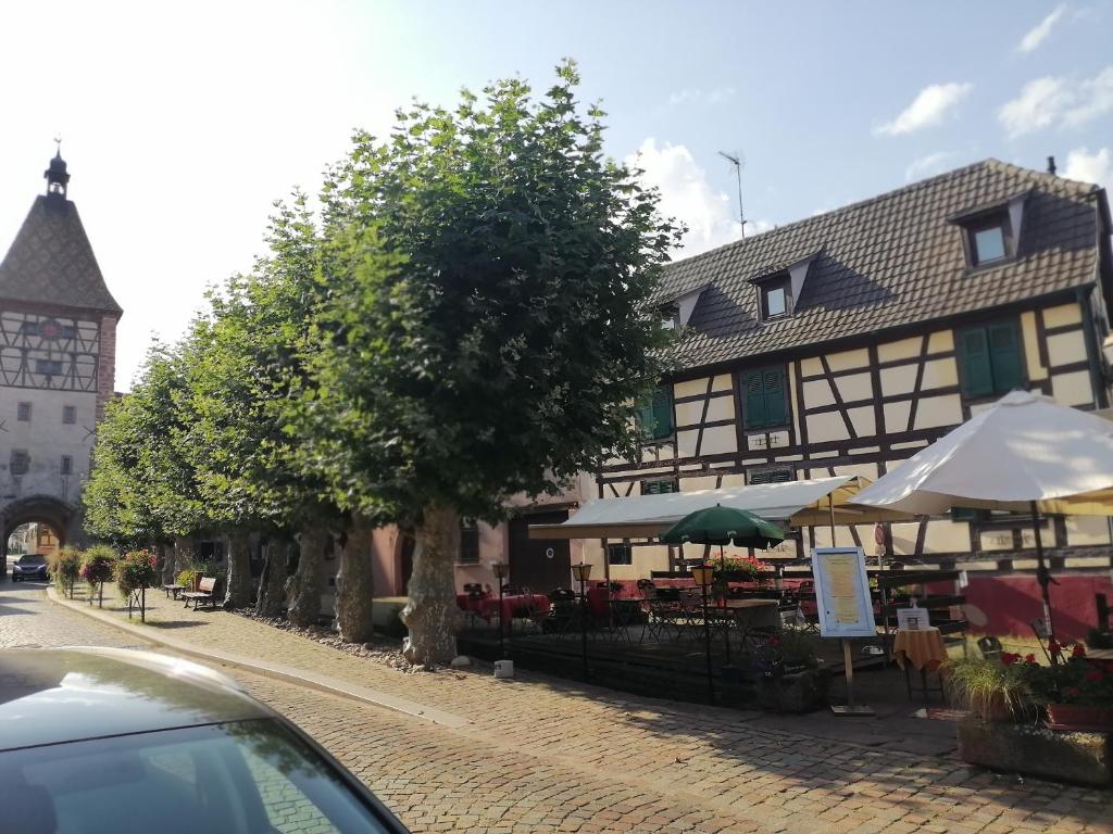 Gites Aux Fines Bulles d'Alsace SPA privatif en supplément