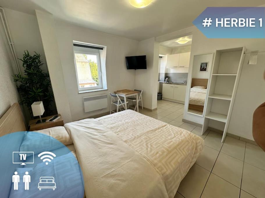 #Herbie1 - Studio Mulhouse - Charme & Confort