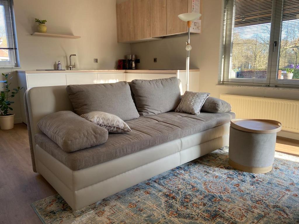Het Kabinet