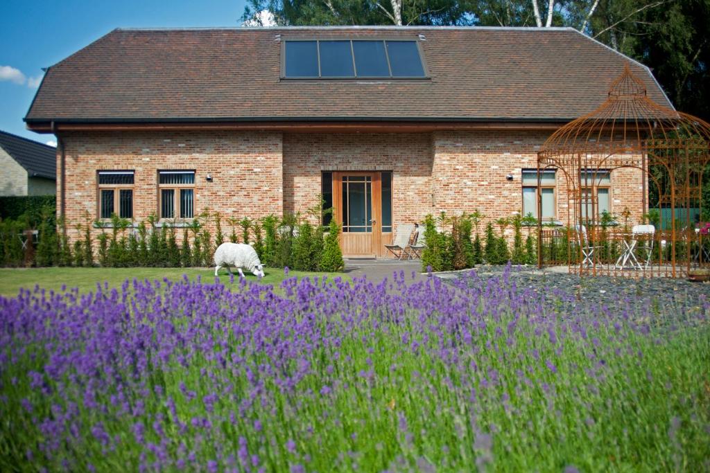 B&B Gielse Garden