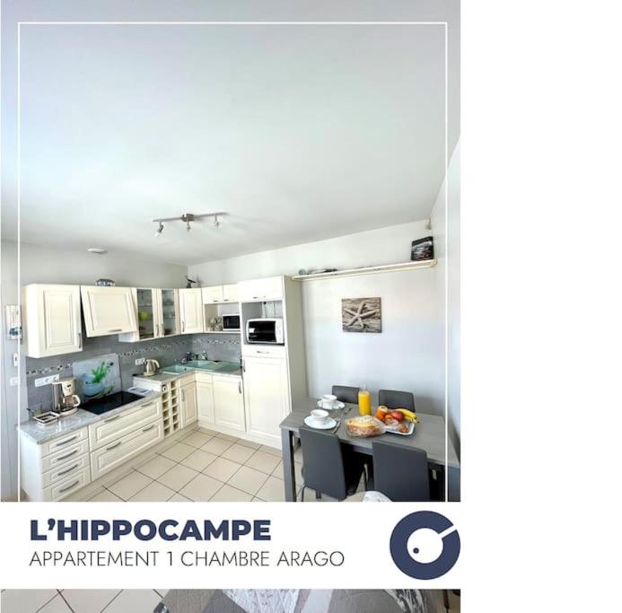 L'Hippocampe - Appartement 1 chambre au coeur du quartier Arago