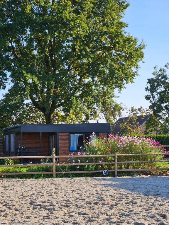 Houten huisje tussen paarden