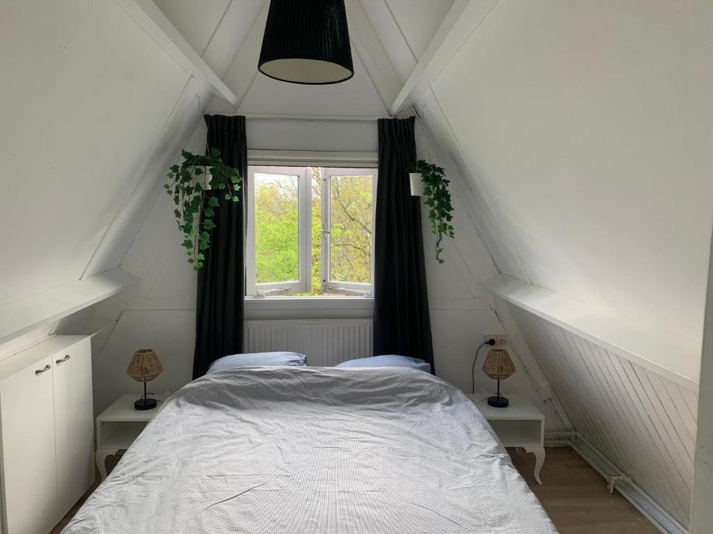 Heerlijk vakantiehuis in bos bij Durbuy