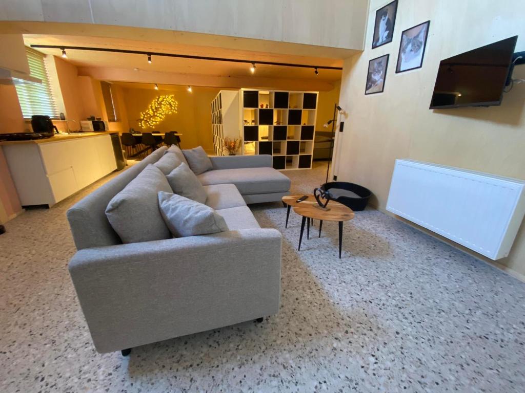 Guesthouse Sprinysem