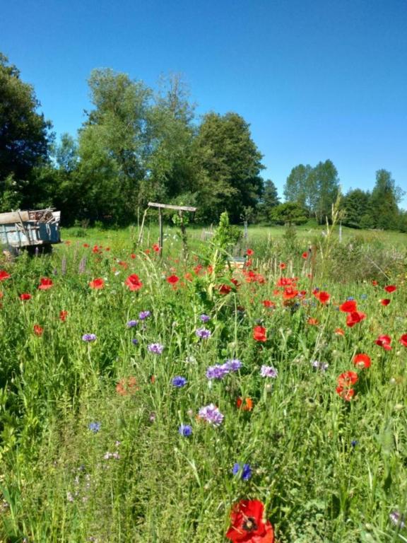 Le gite du pré dorė