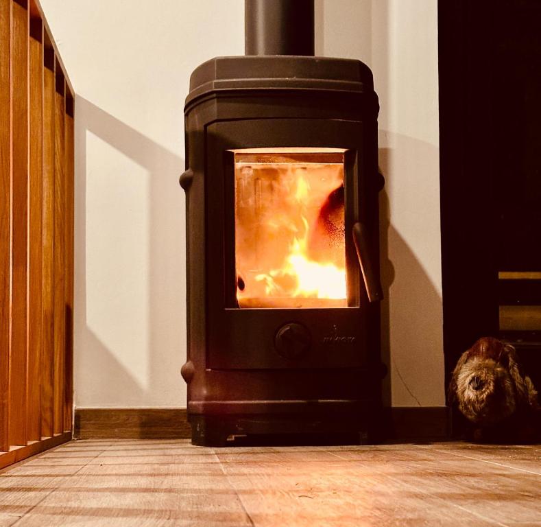 TINY HOUSE - La cabane de Tom