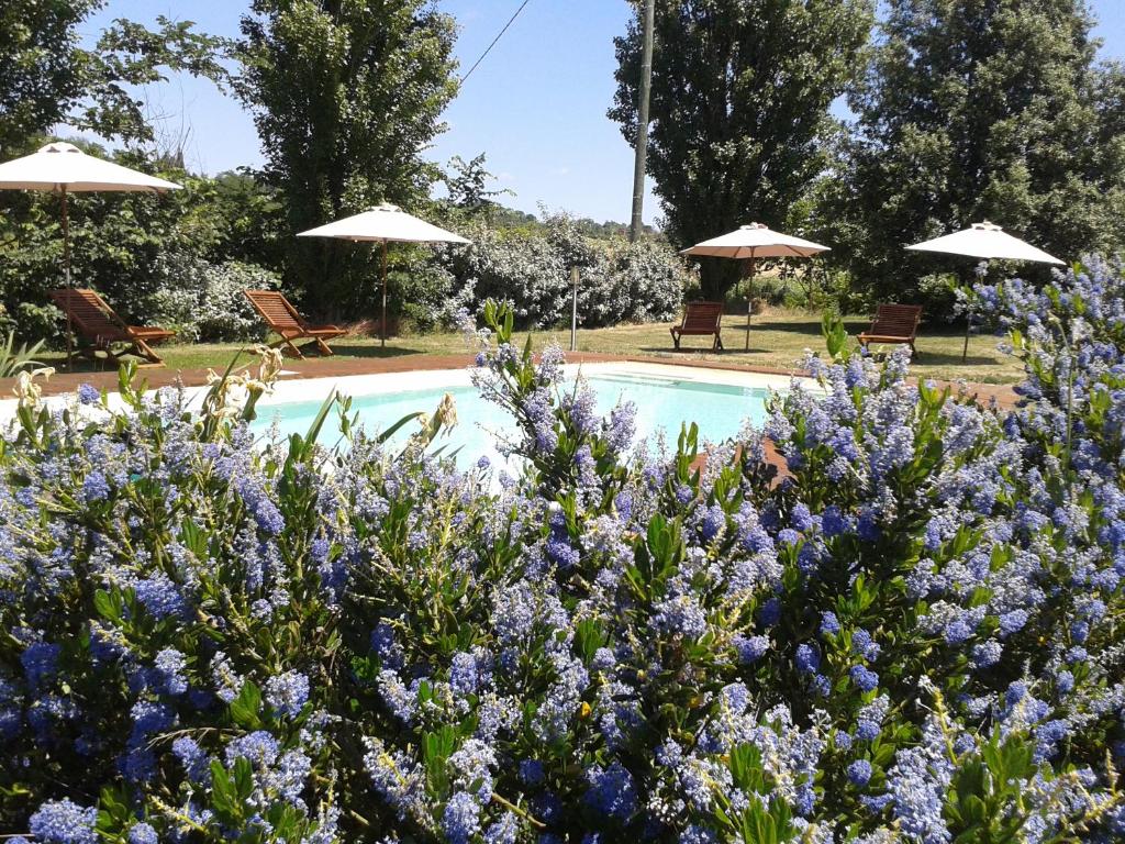 B&B La Ferme de Loubens