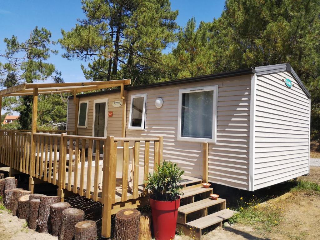 Camping La Dune Blanche - Daly's home