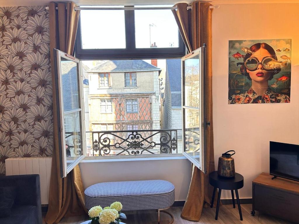Le Cinq, Appartement de charme Place Saint Pierre Saumur