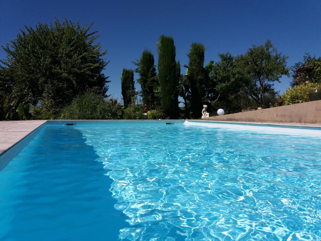 Le cocon vert