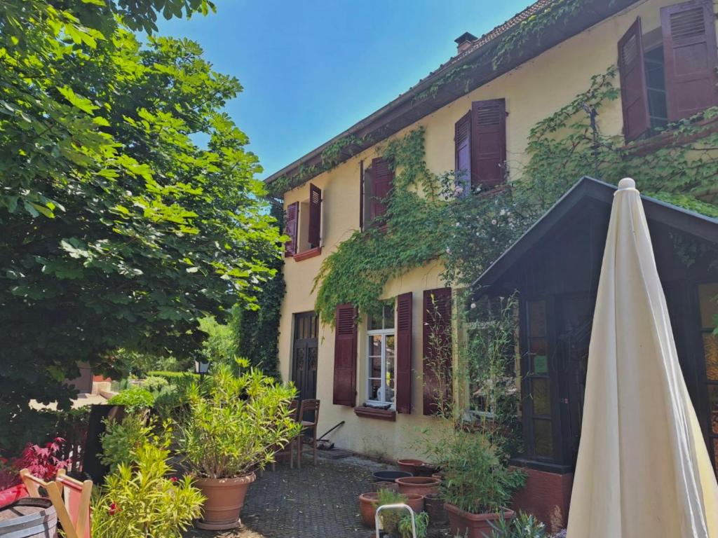 Chambres d'Hôtes Le Felseneck