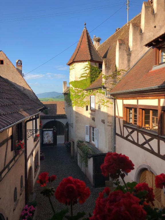 Le Grenier Des Arômes Au Domaine Wittmann